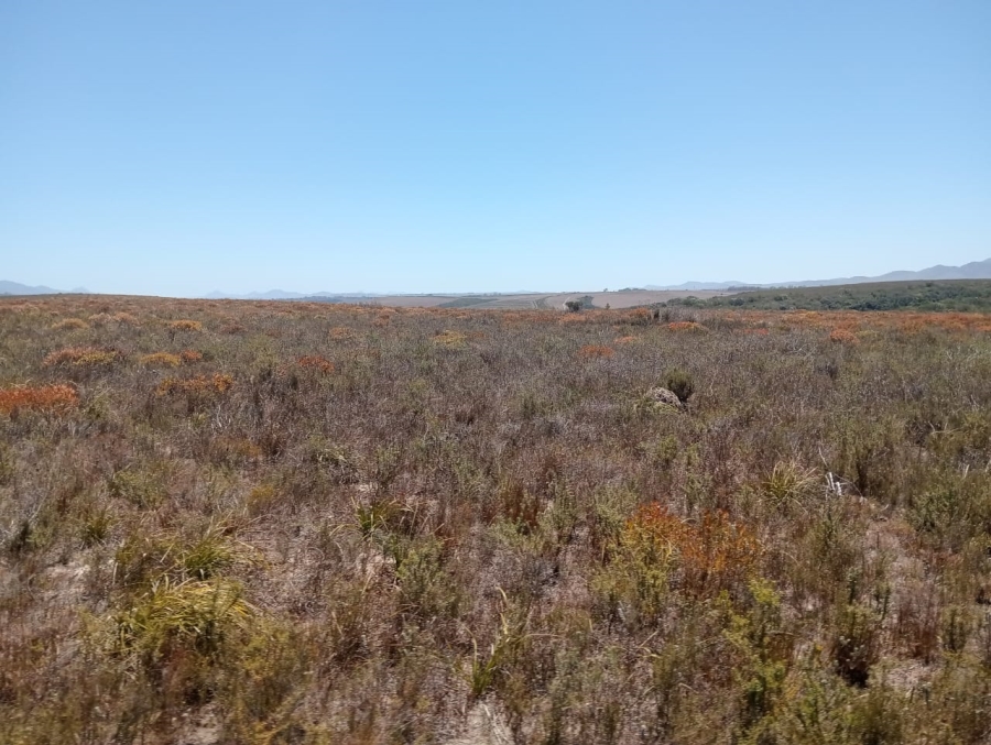 Commercial Property for Sale in Humansdorp Rural Eastern Cape